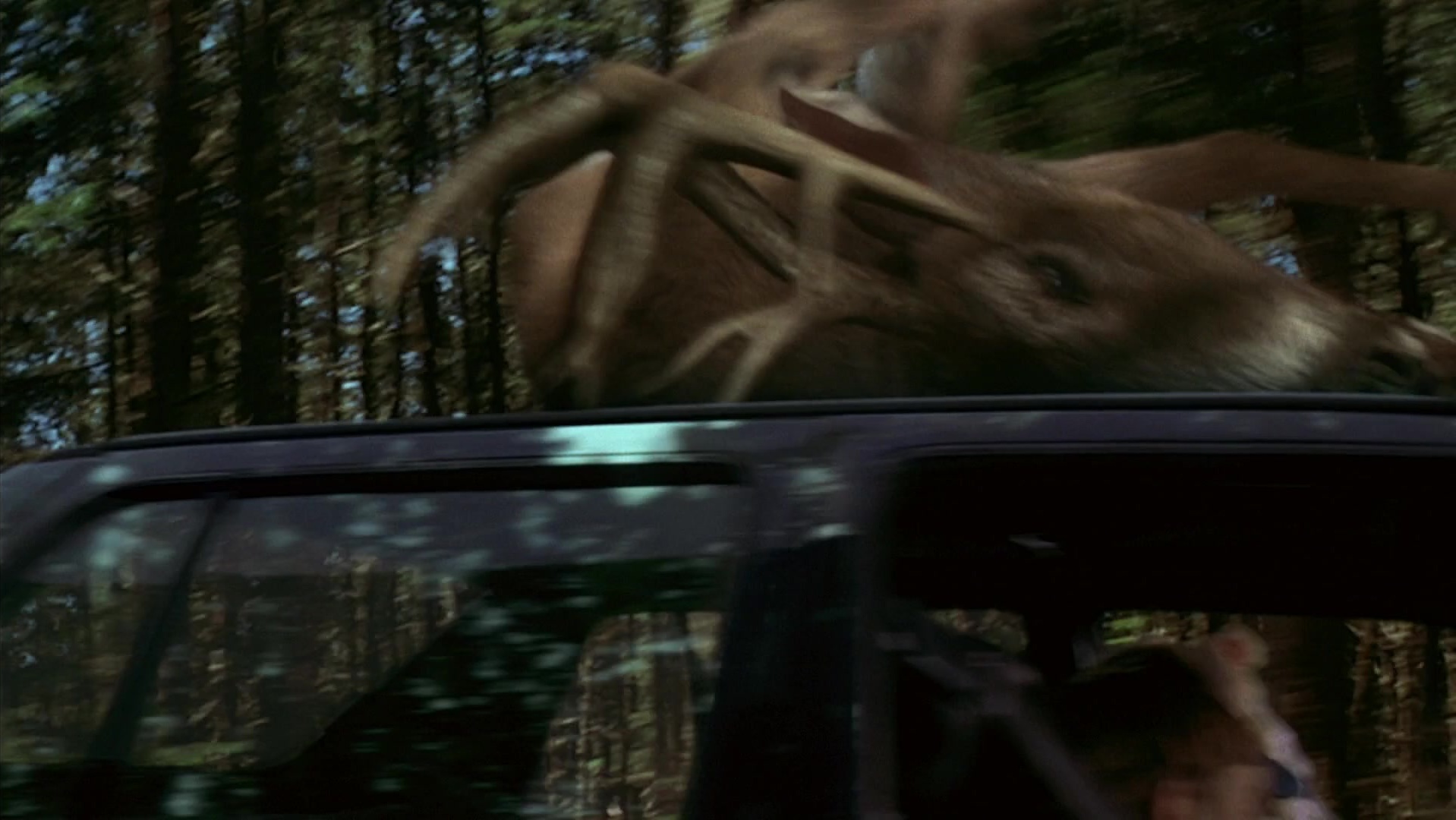 The Ring Two (2005), wide, 1.78:1 — film still