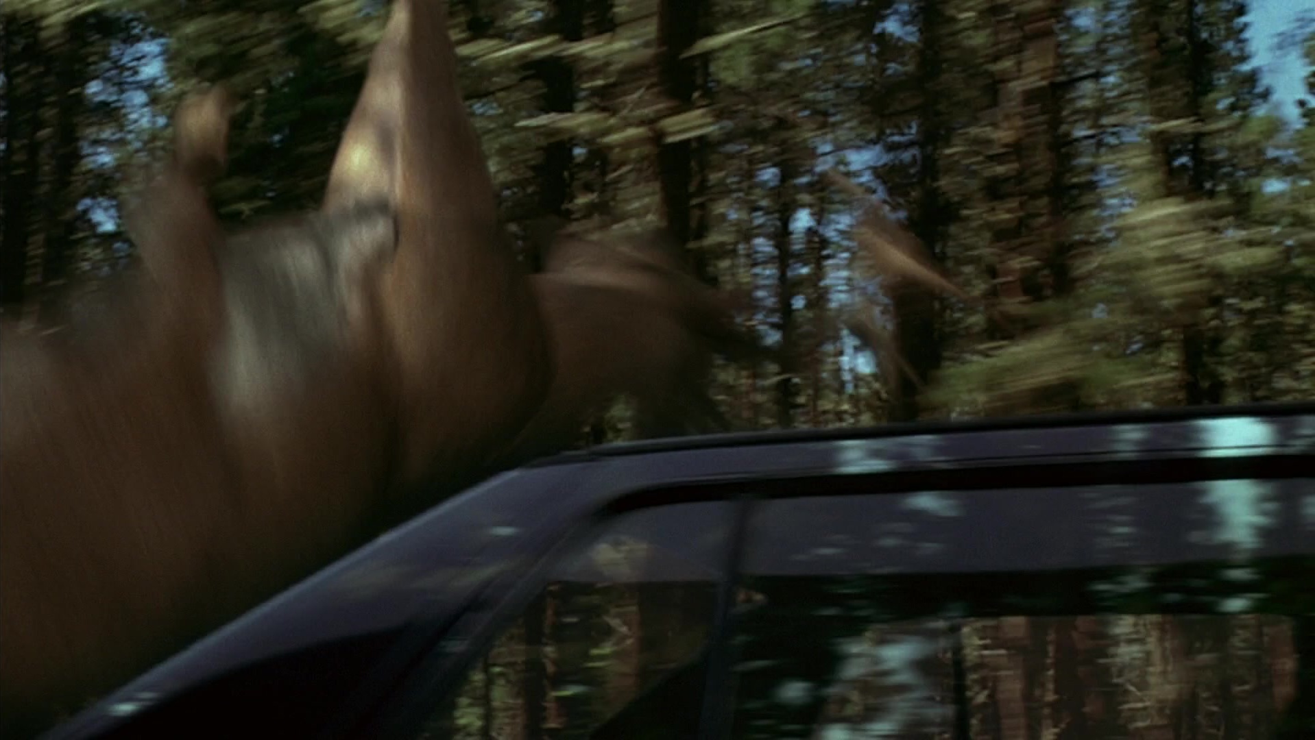 The Ring Two (2005), wide, 1.78:1 — film still