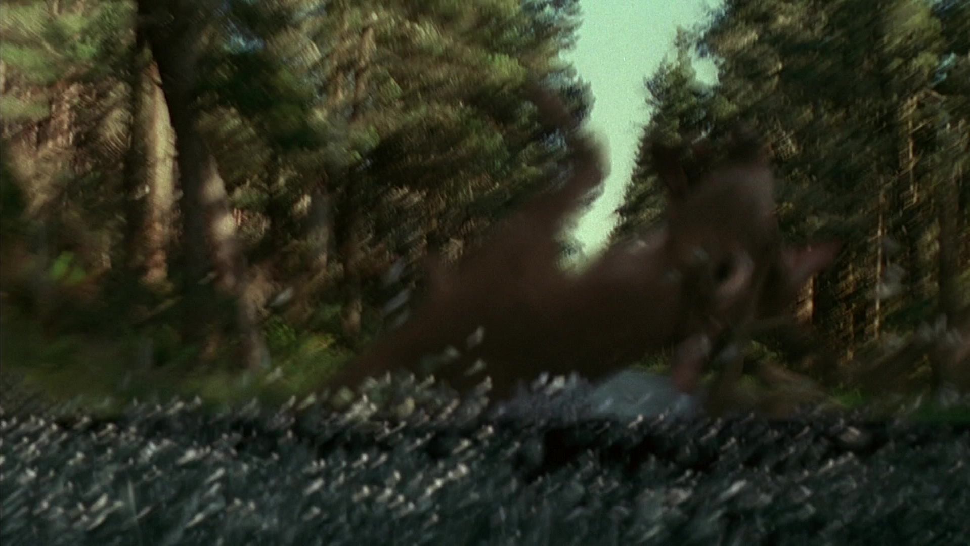The Ring Two (2005), wide, 1.78:1 — film still