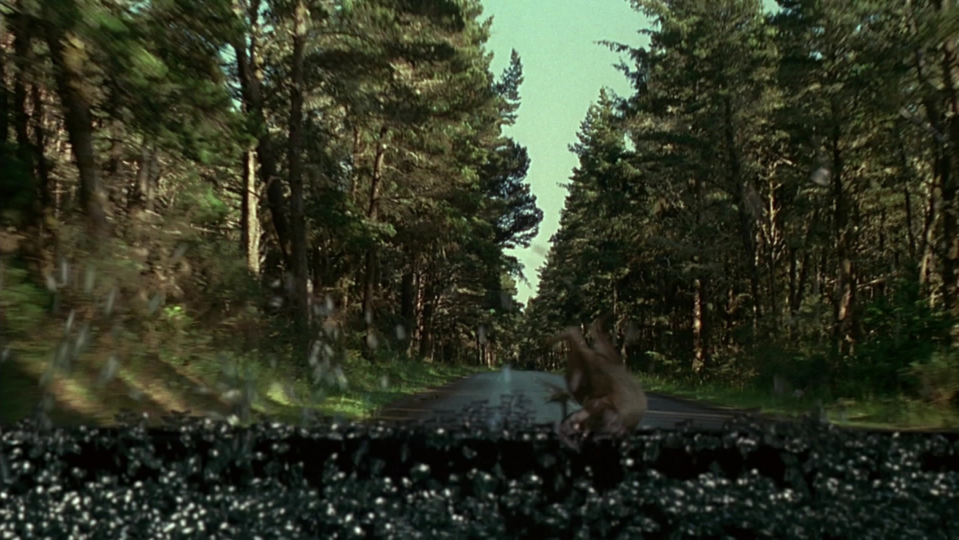 The Ring Two (2005), wide, 1.78:1 — film still