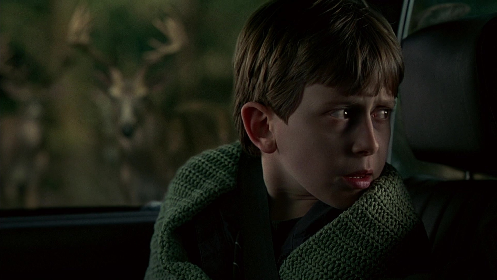 The Ring Two (2005), wide, 1.78:1 — film still