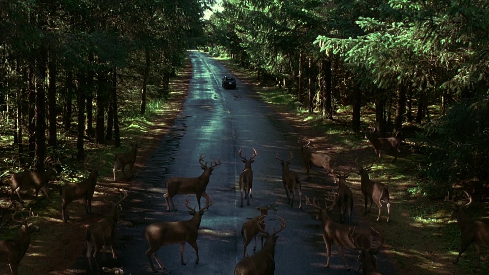 The Ring Two (2005), wide, 1.78:1 — film still