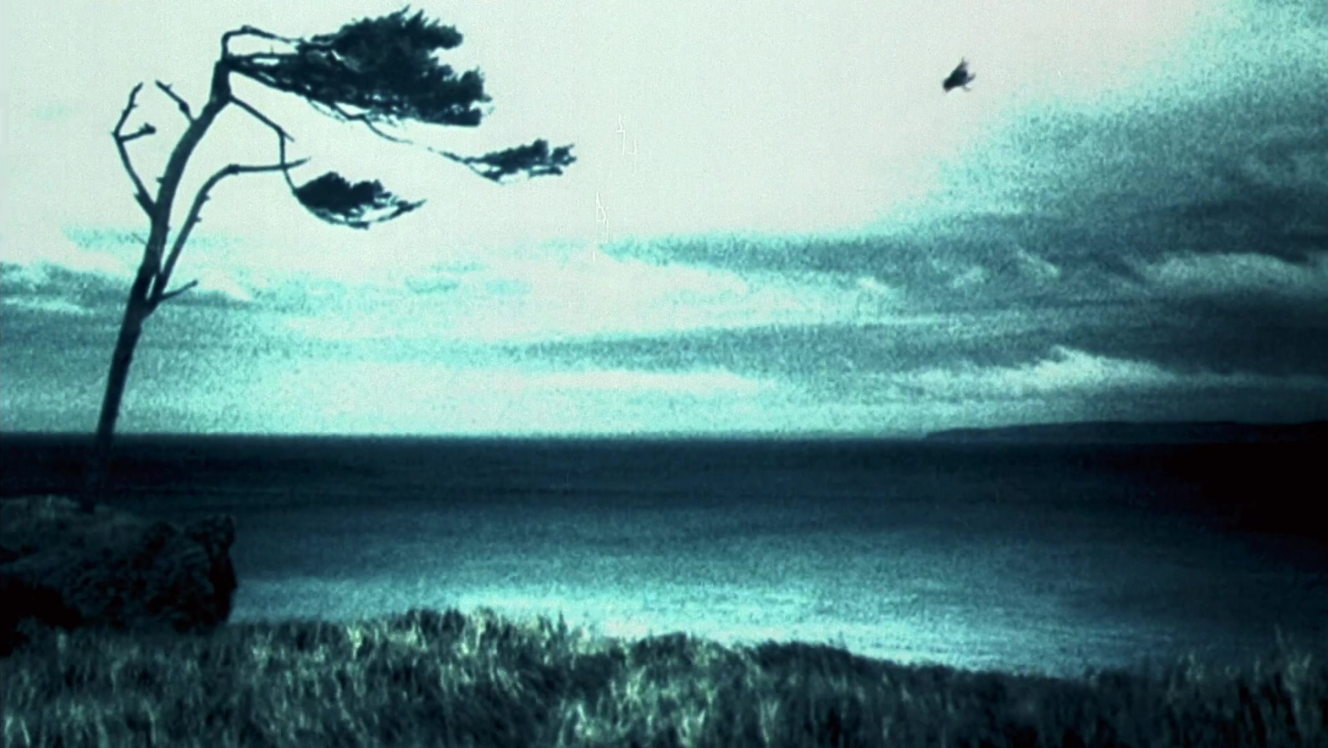 The Ring Two (2005), wide, 1.78:1 — film still