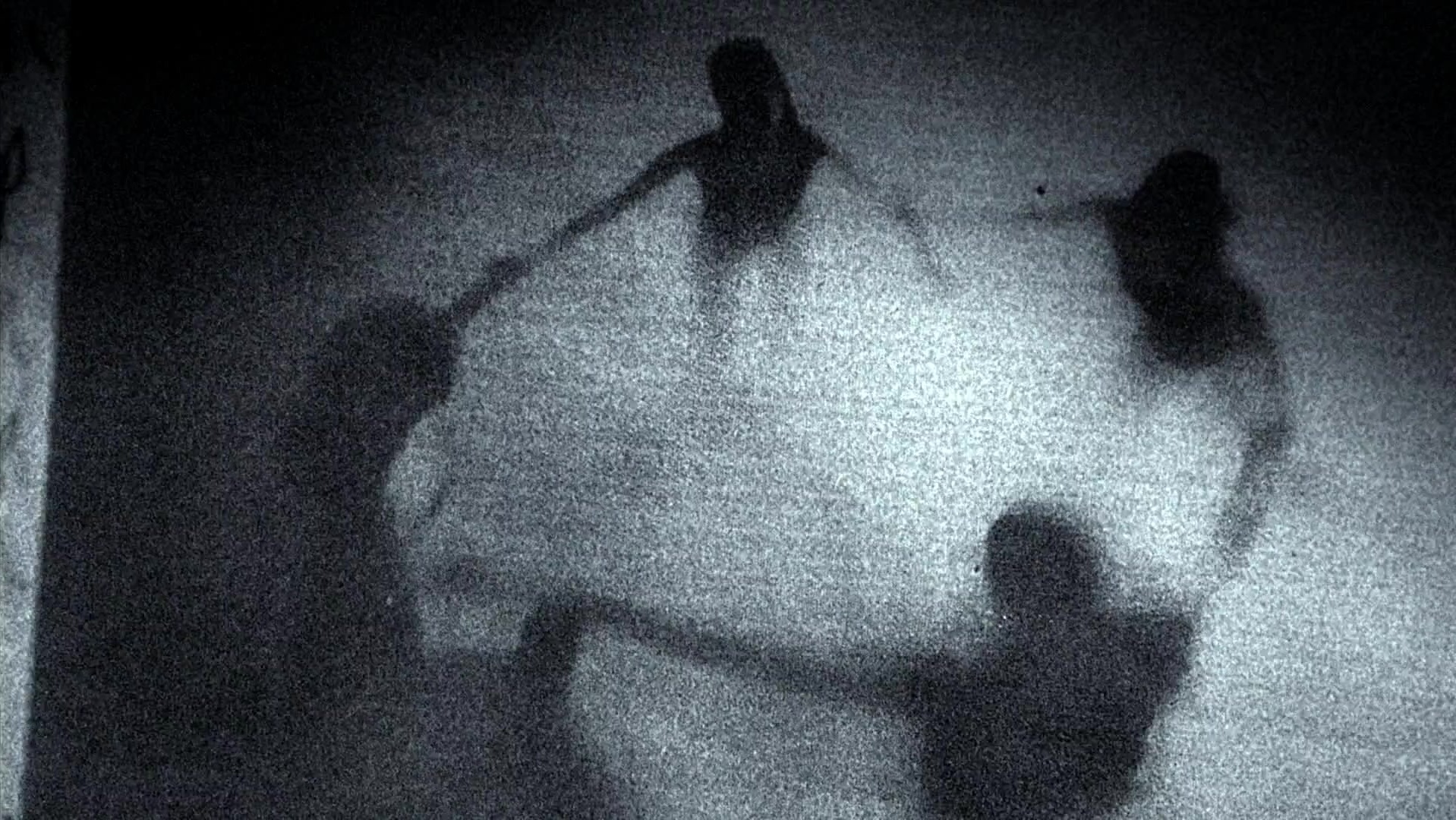 The Ring Two (2005), wide, 1.78:1 — film still