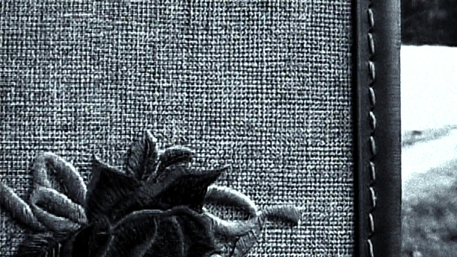 The Ring Two (2005), wide, 1.78:1 — film still
