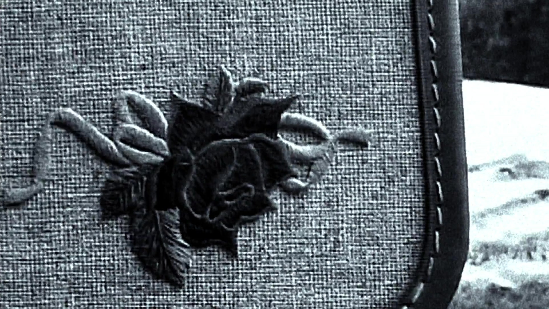 The Ring Two (2005), wide, 1.78:1 — film still