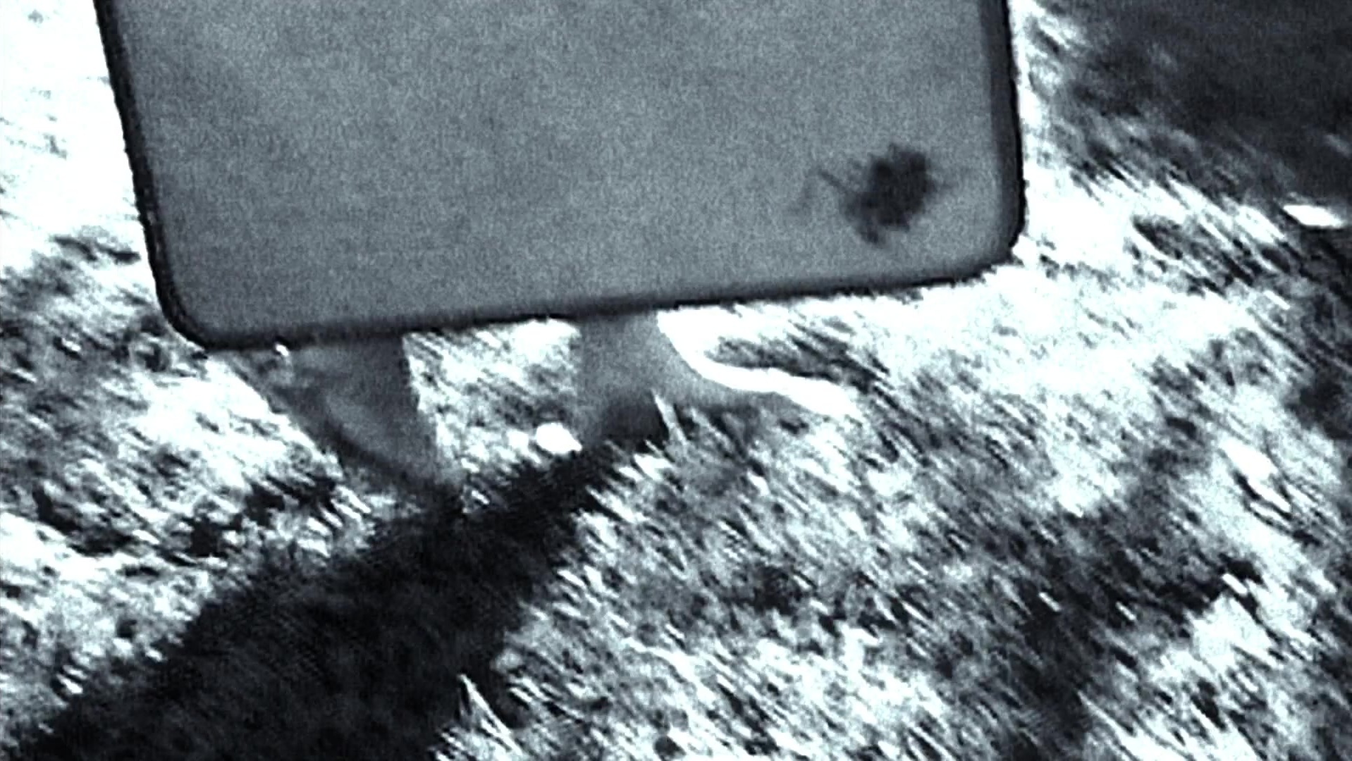 The Ring Two (2005), wide, 1.78:1 — film still