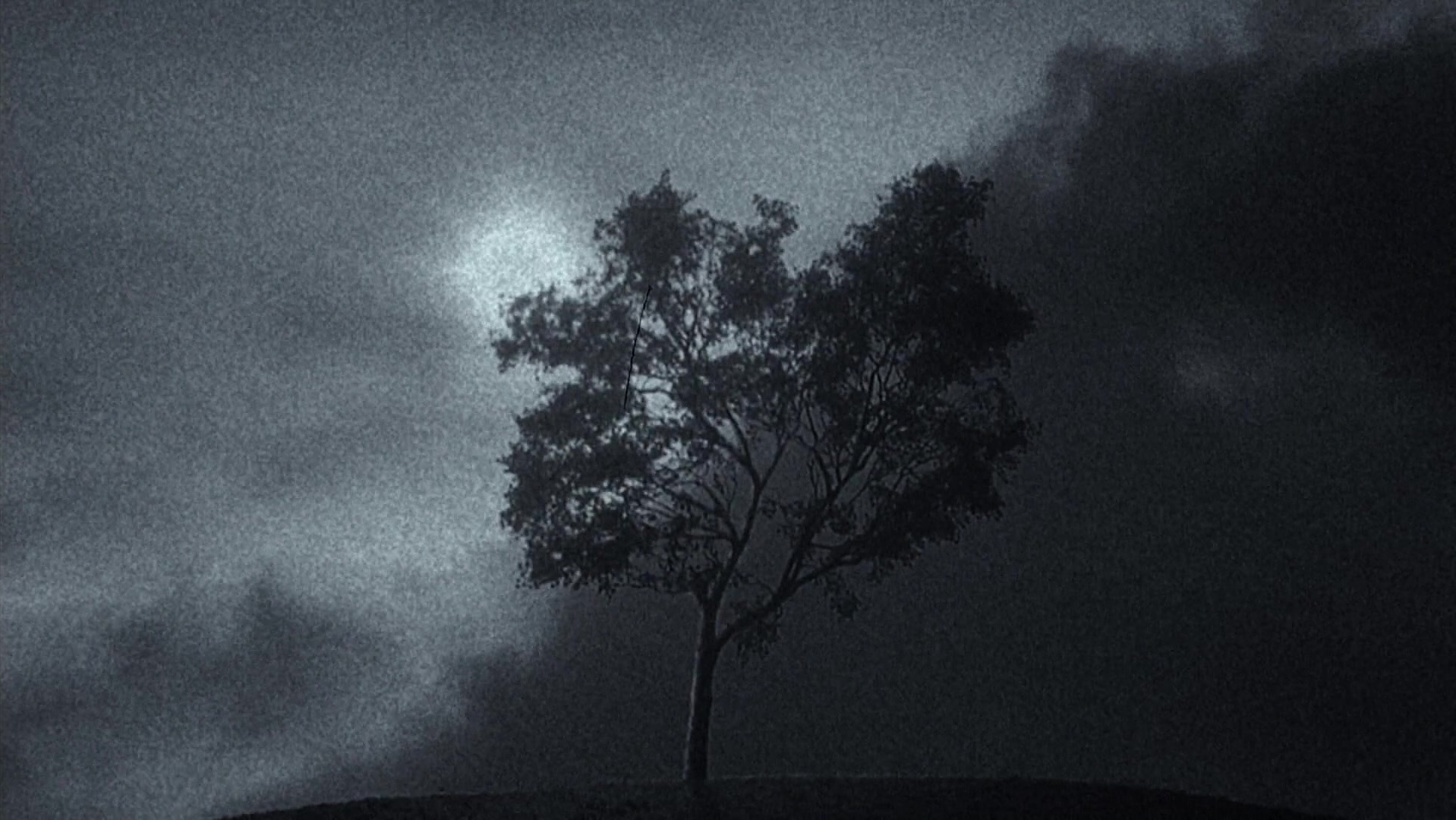 The Ring Two (2005), wide, 1.78:1 — film still