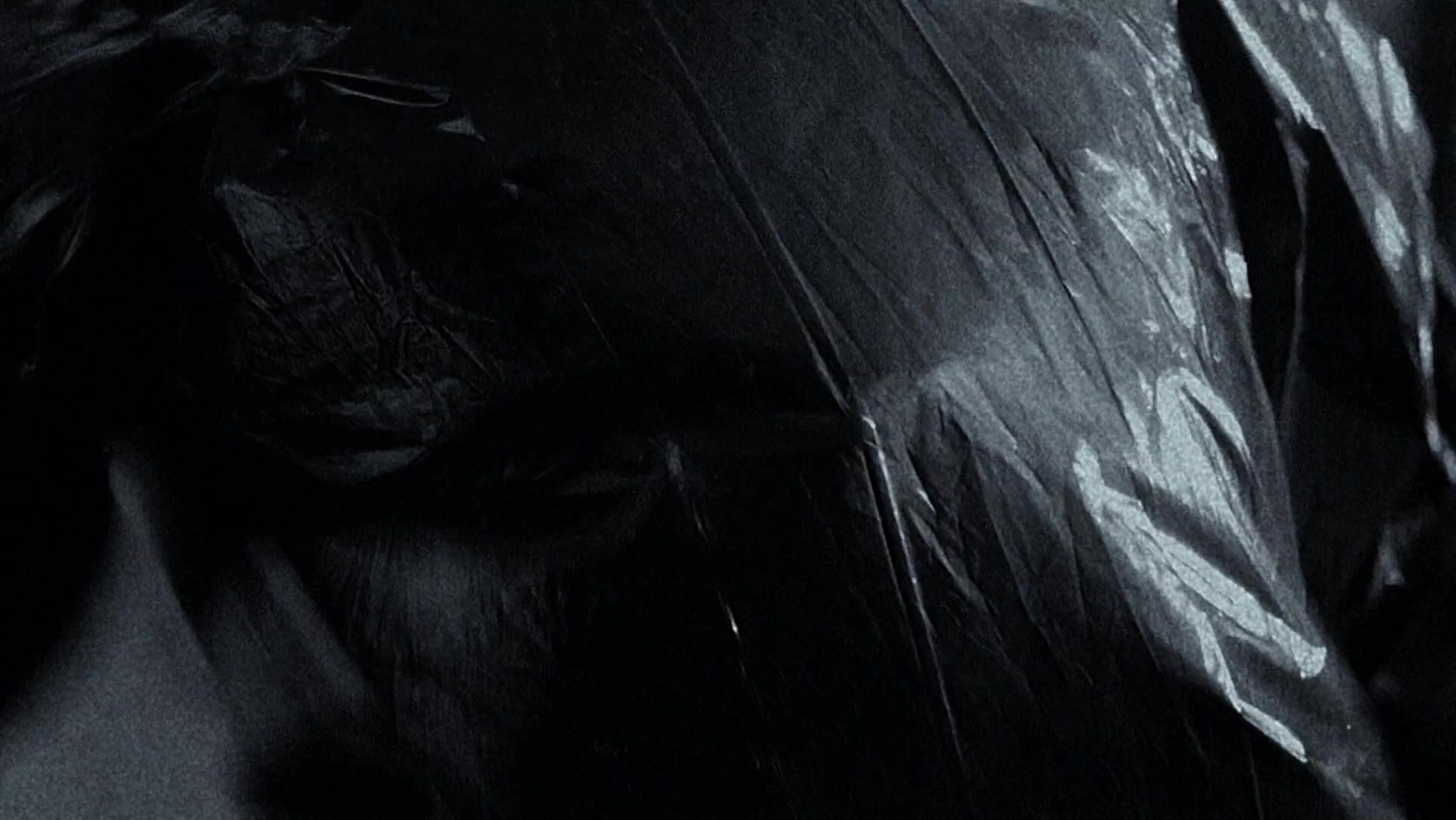 The Ring Two (2005), wide, 1.78:1 — film still