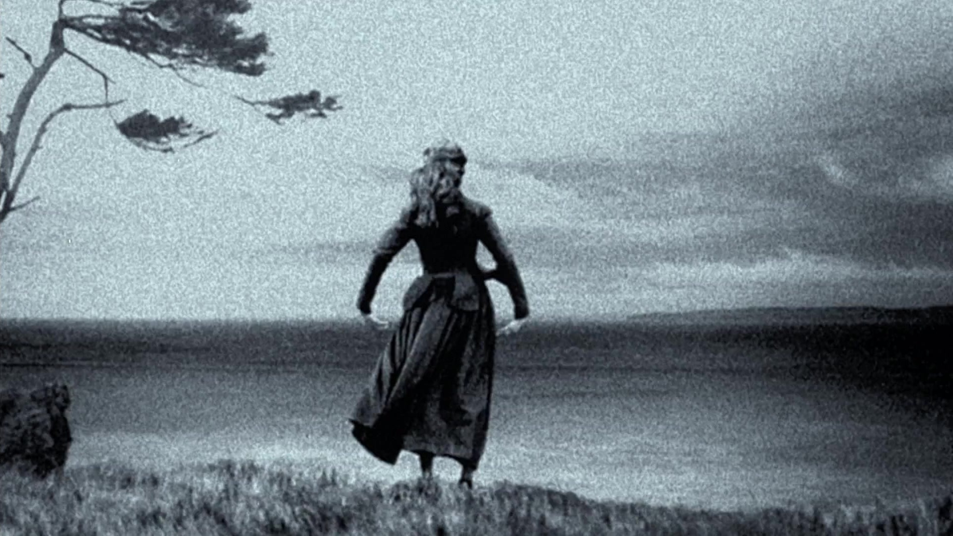 The Ring Two (2005), unknown, 1.78:1 — film still