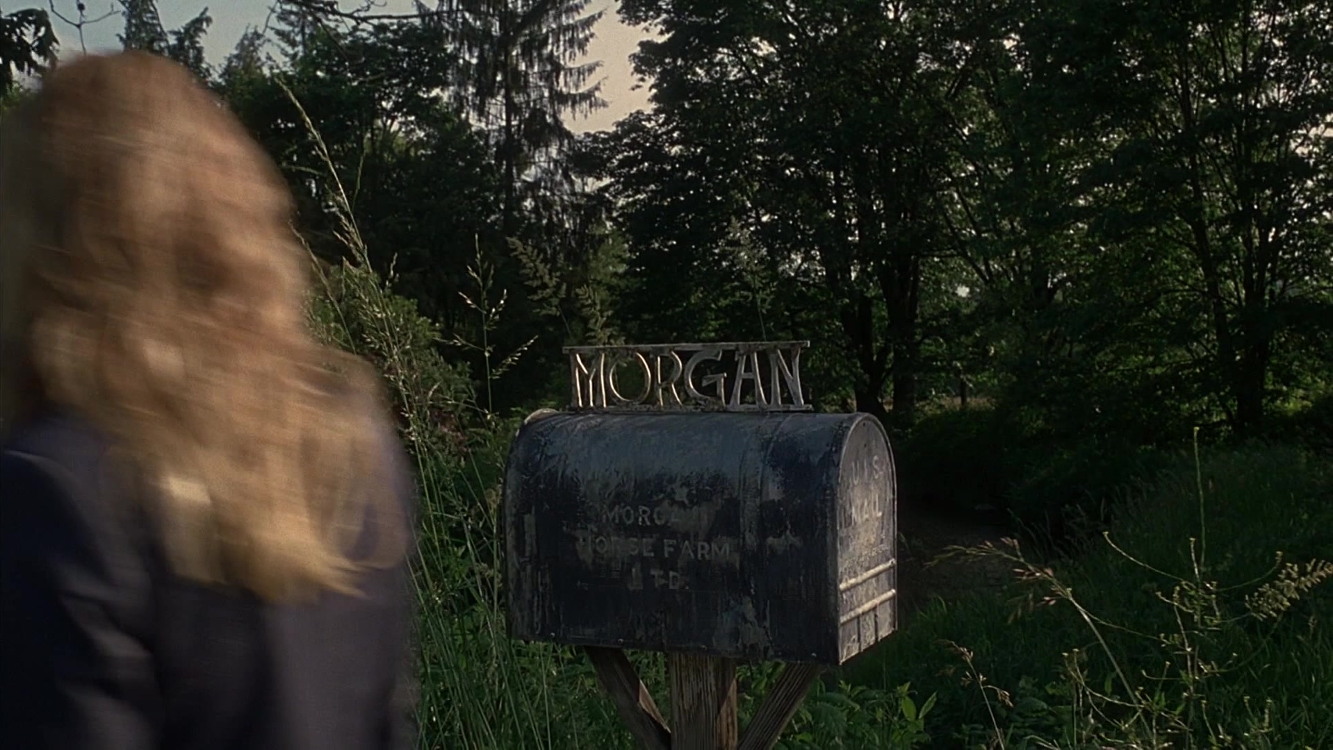 The Ring Two (2005), wide, 1.78:1 — film still