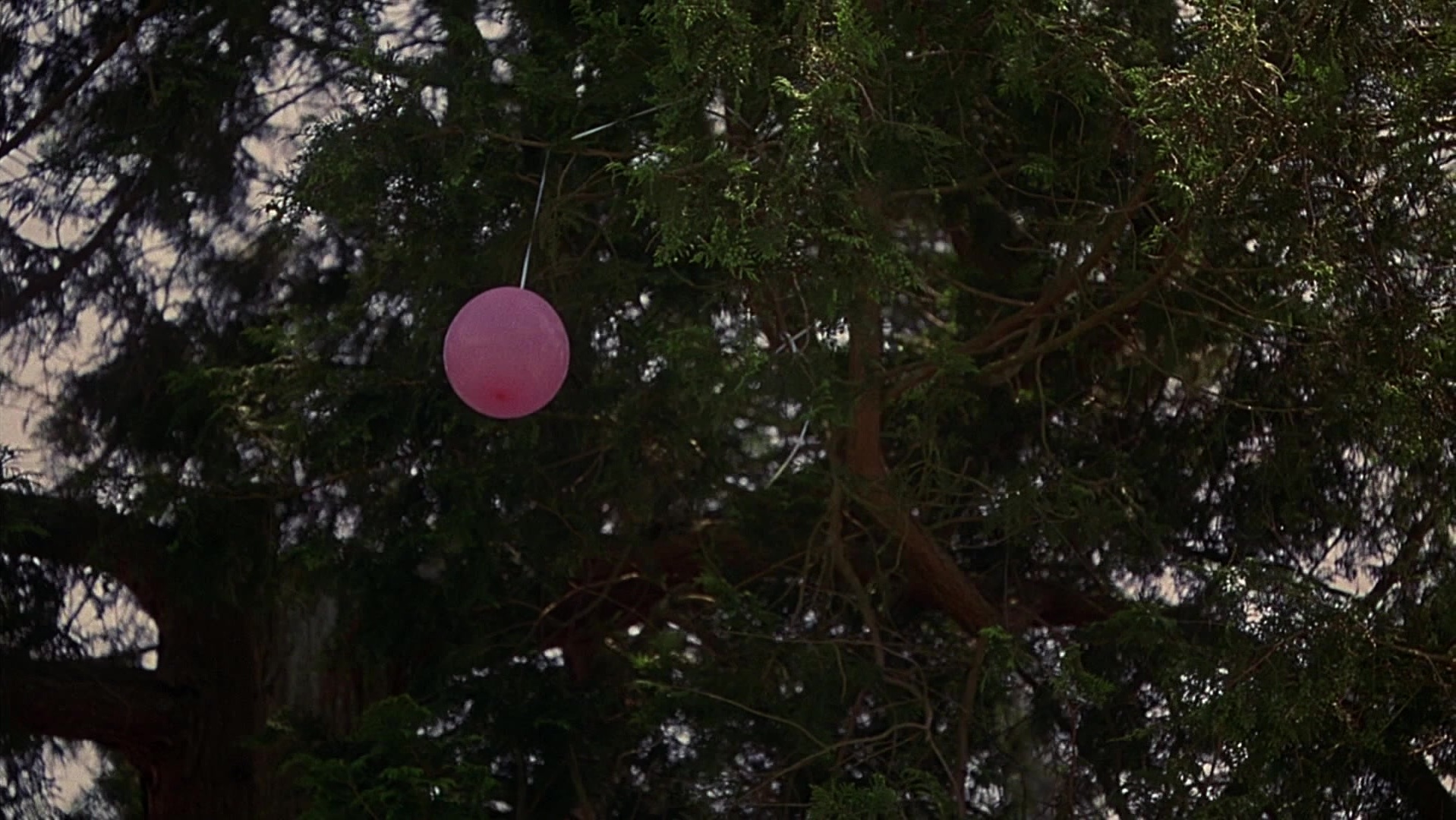 The Ring Two (2005), wide, 1.78:1 — film still
