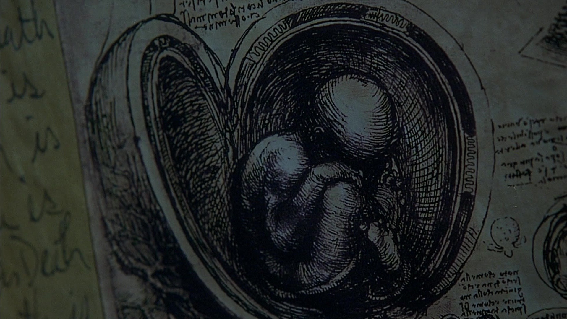 The Ring Two (2005), wide, 1.78:1 — film still