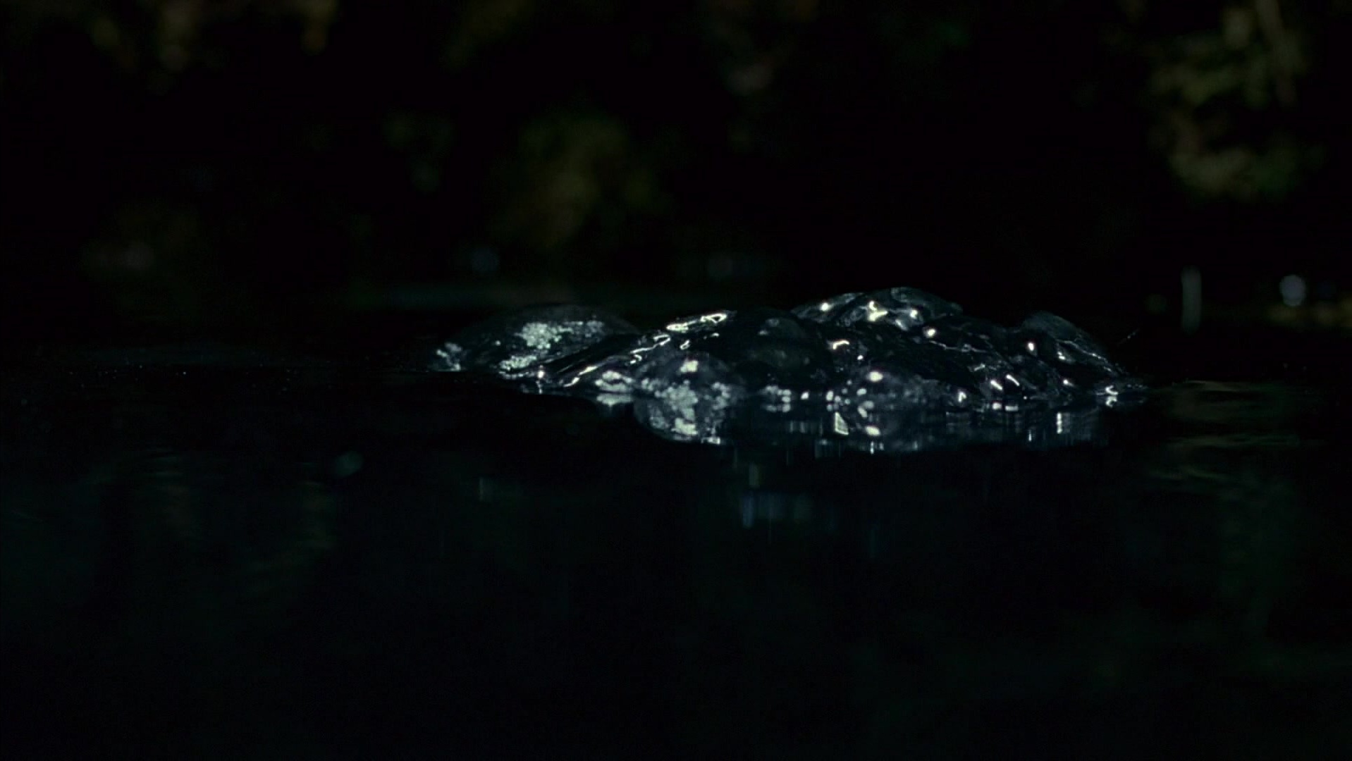 The Ring Two (2005), wide, 1.78:1 — film still