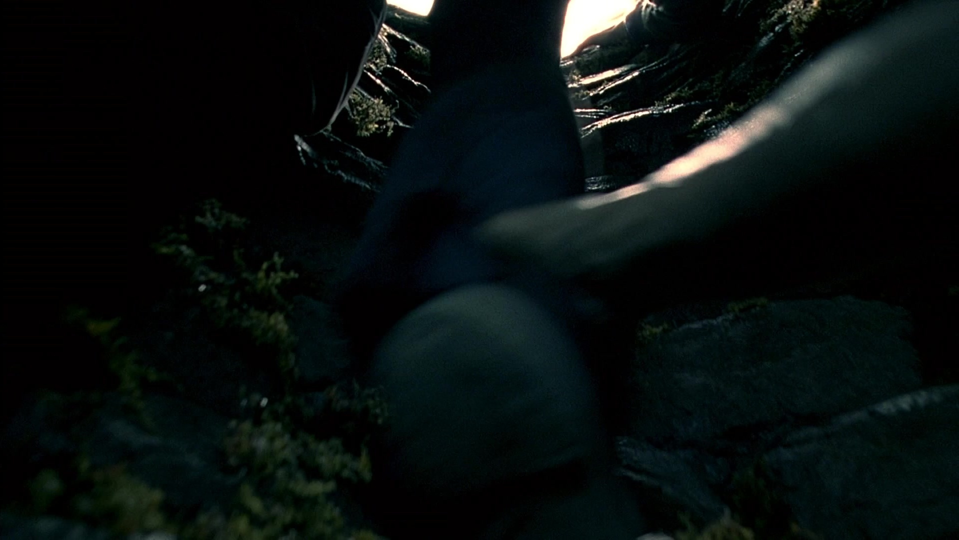 The Ring Two (2005), wide, 1.78:1 — film still