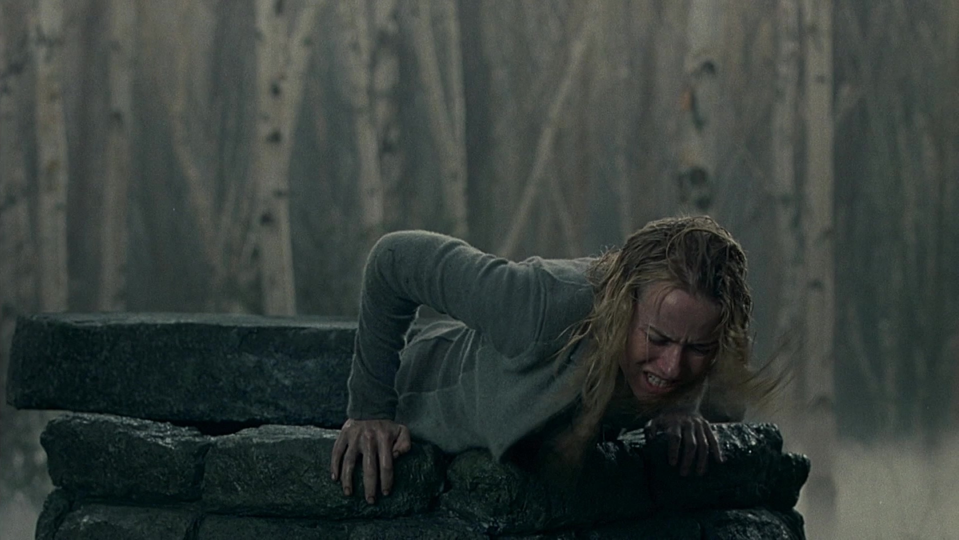 The Ring Two (2005), wide, 1.78:1 — film still
