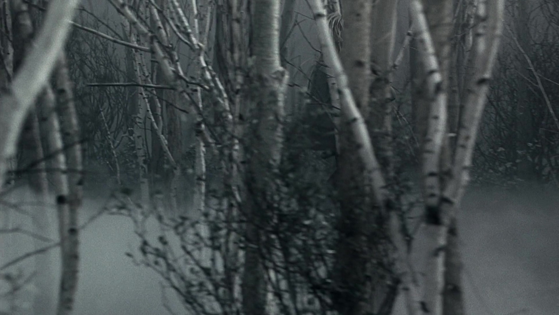 The Ring Two (2005), wide, 1.78:1 — film still