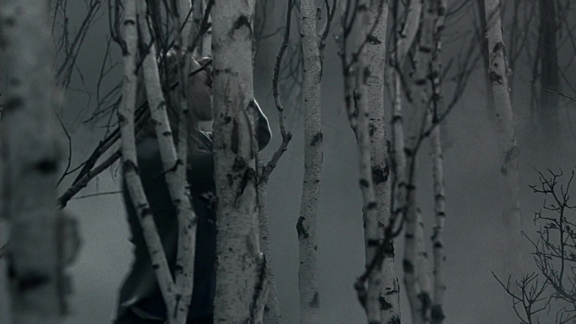 The Ring Two (2005), wide, 1.78:1 — film still
