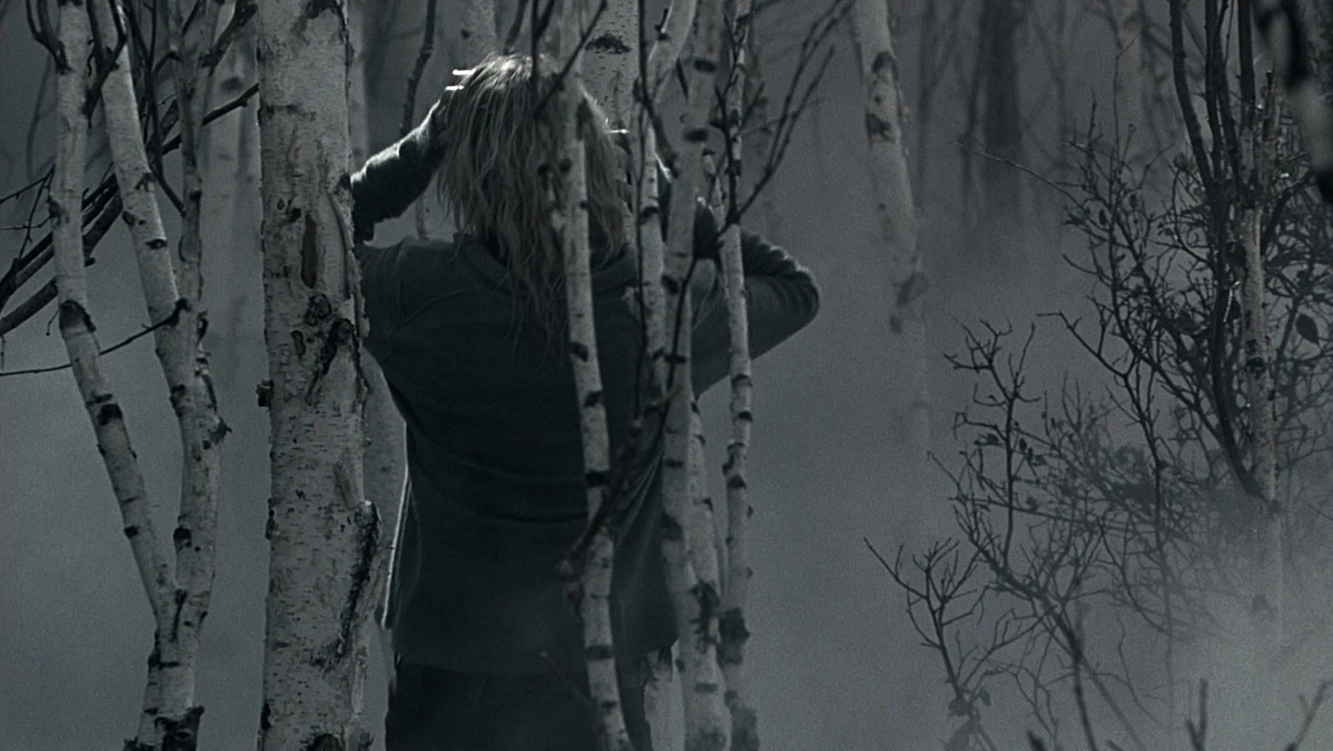The Ring Two (2005), wide, 1.78:1 — film still