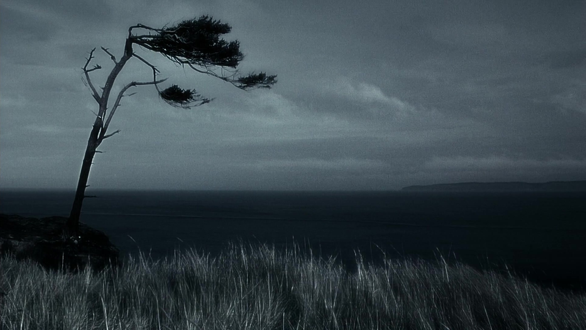 The Ring Two (2005), wide, 1.78:1 — film still