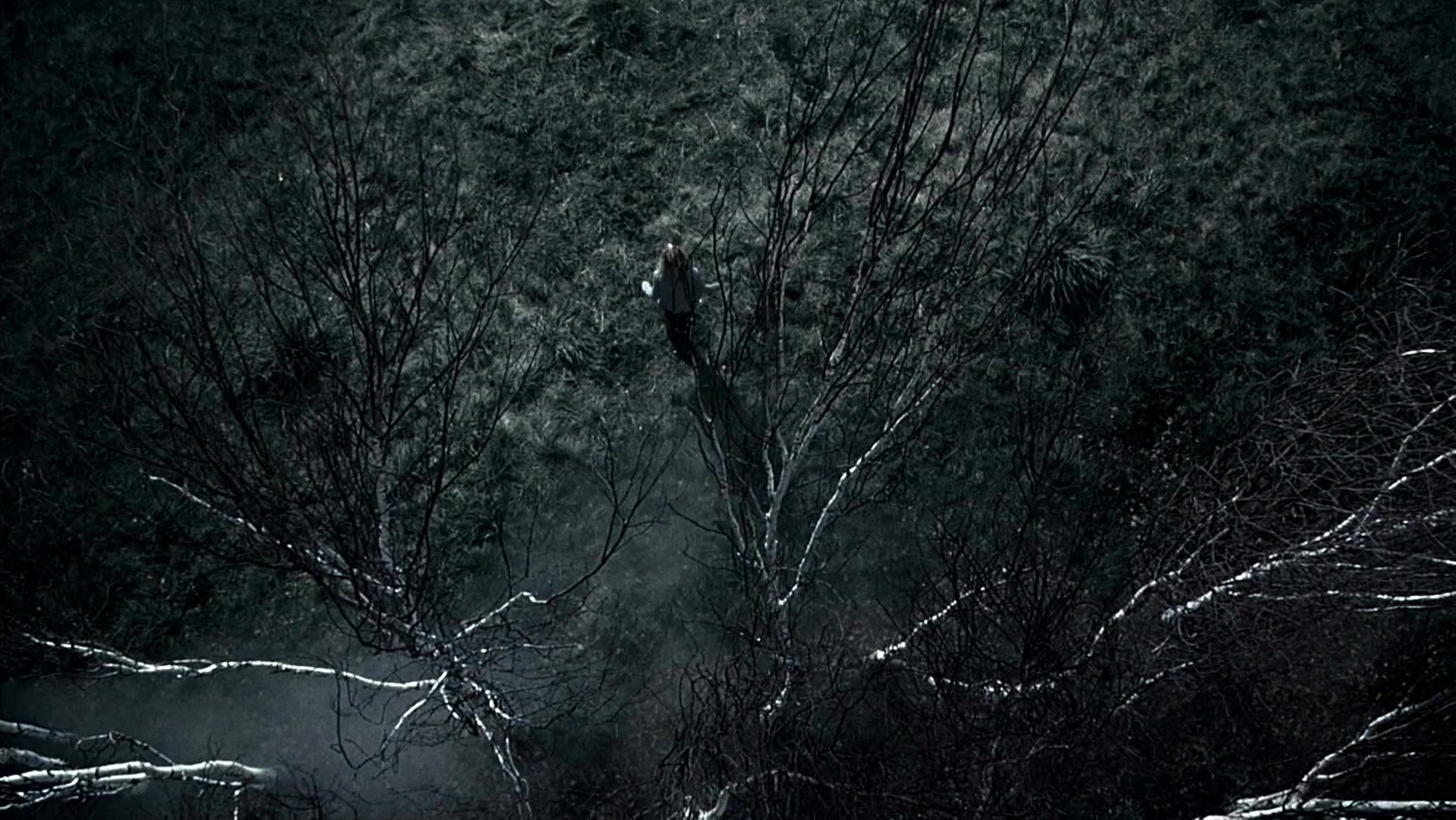 The Ring Two (2005), wide, 1.78:1 — film still