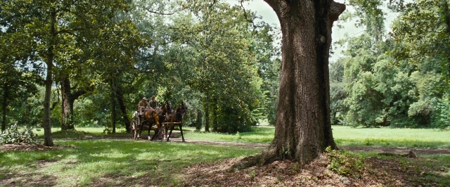 12 Years a Slave — film still