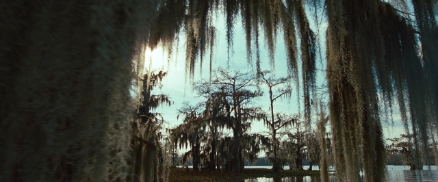 Wide shot frame from 12 Years a Slave — mirror, water, willow