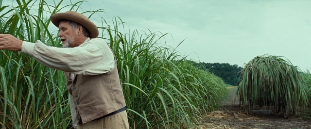 12 Years a Slave — film still