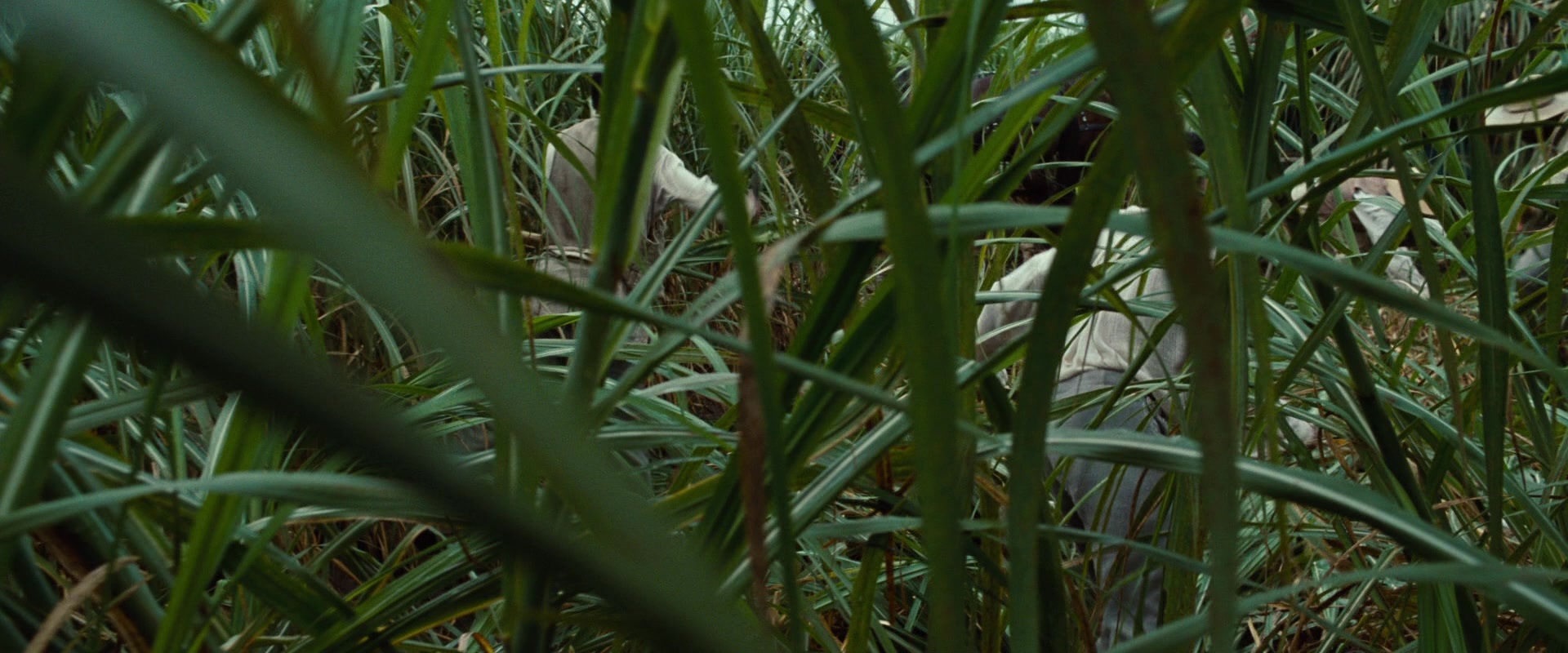 12 Years a Slave (2013), wide, 2.40:1 — film still