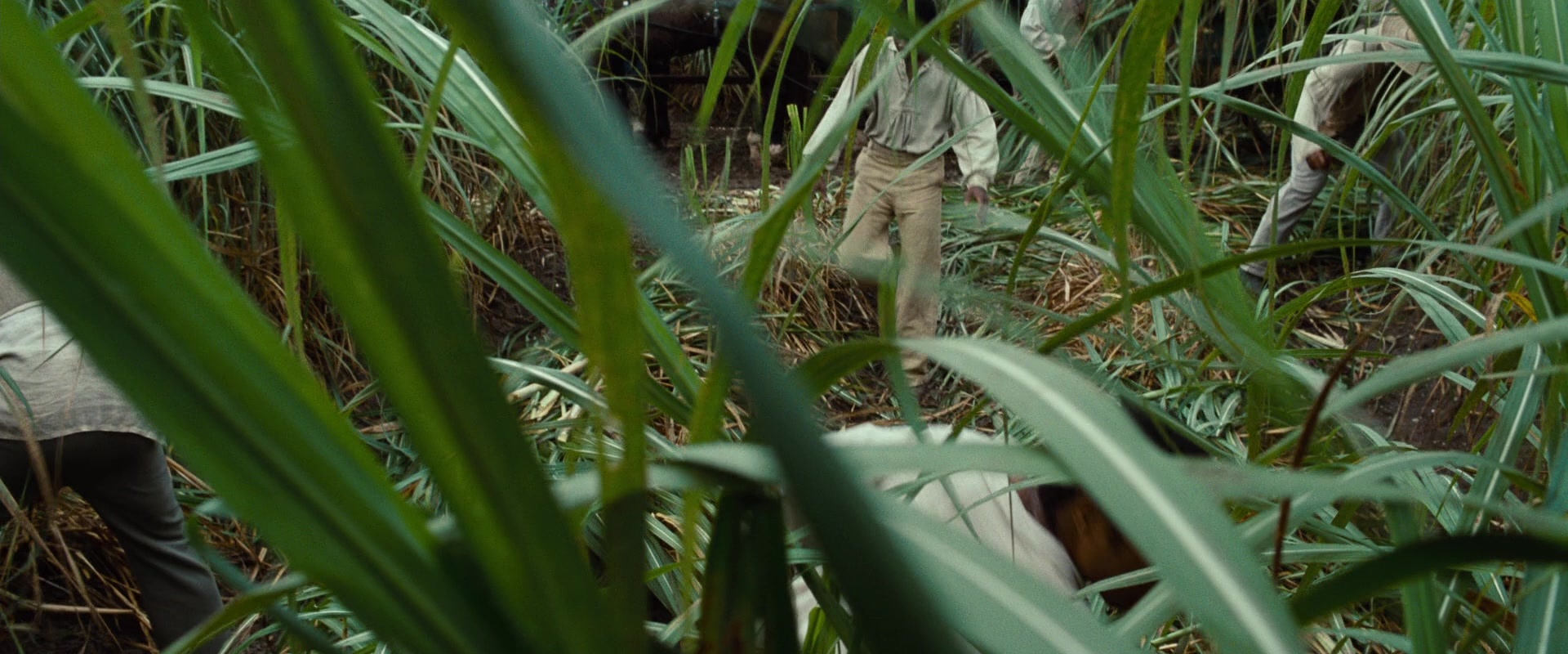 12 Years a Slave (2013), unknown, 2.40:1 — film still