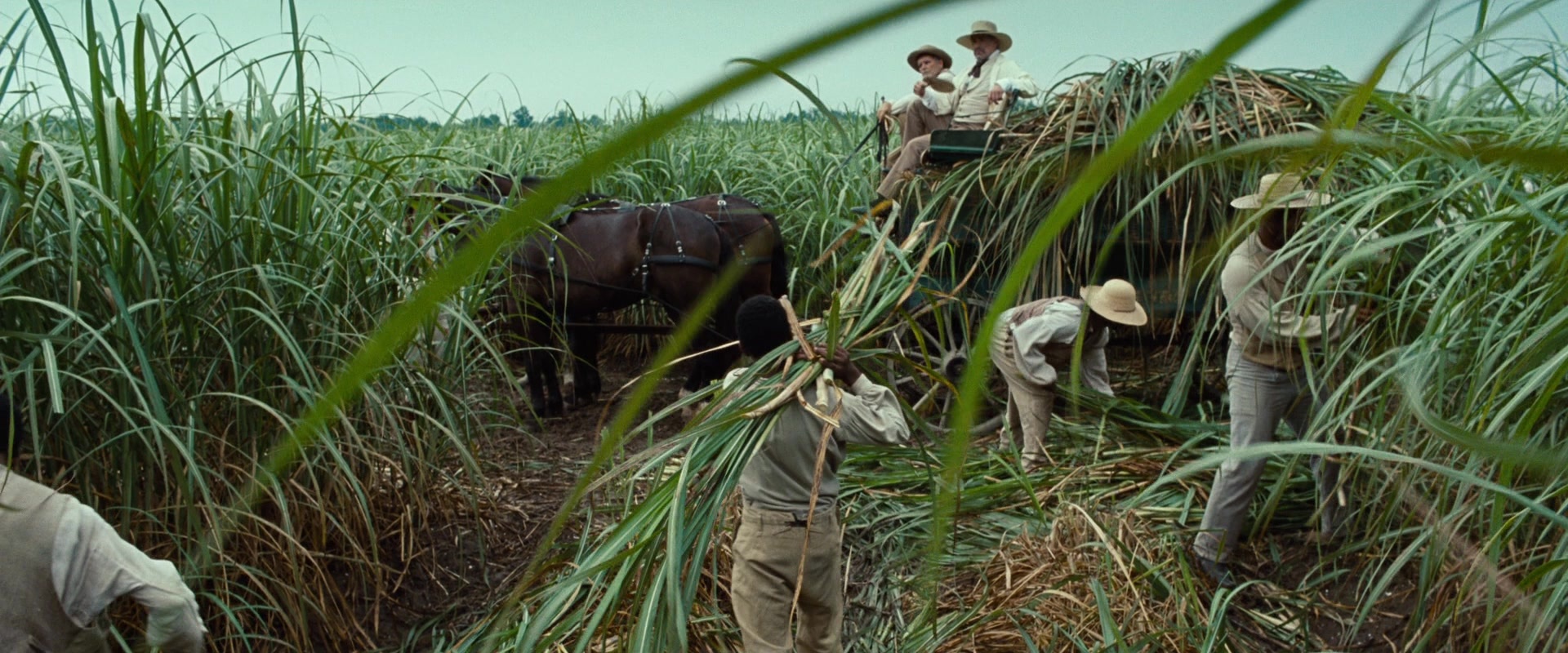 12 Years a Slave (2013), unknown, 2.40:1 — film still