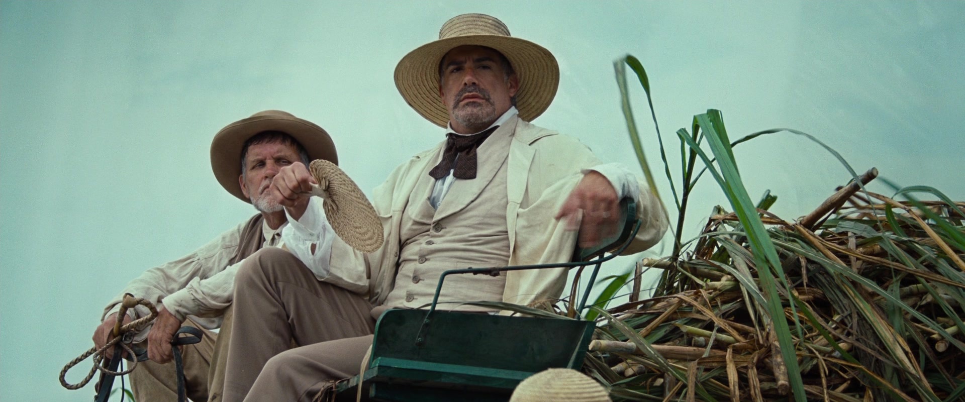 12 Years a Slave (2013), wide, 2.40:1 — film still