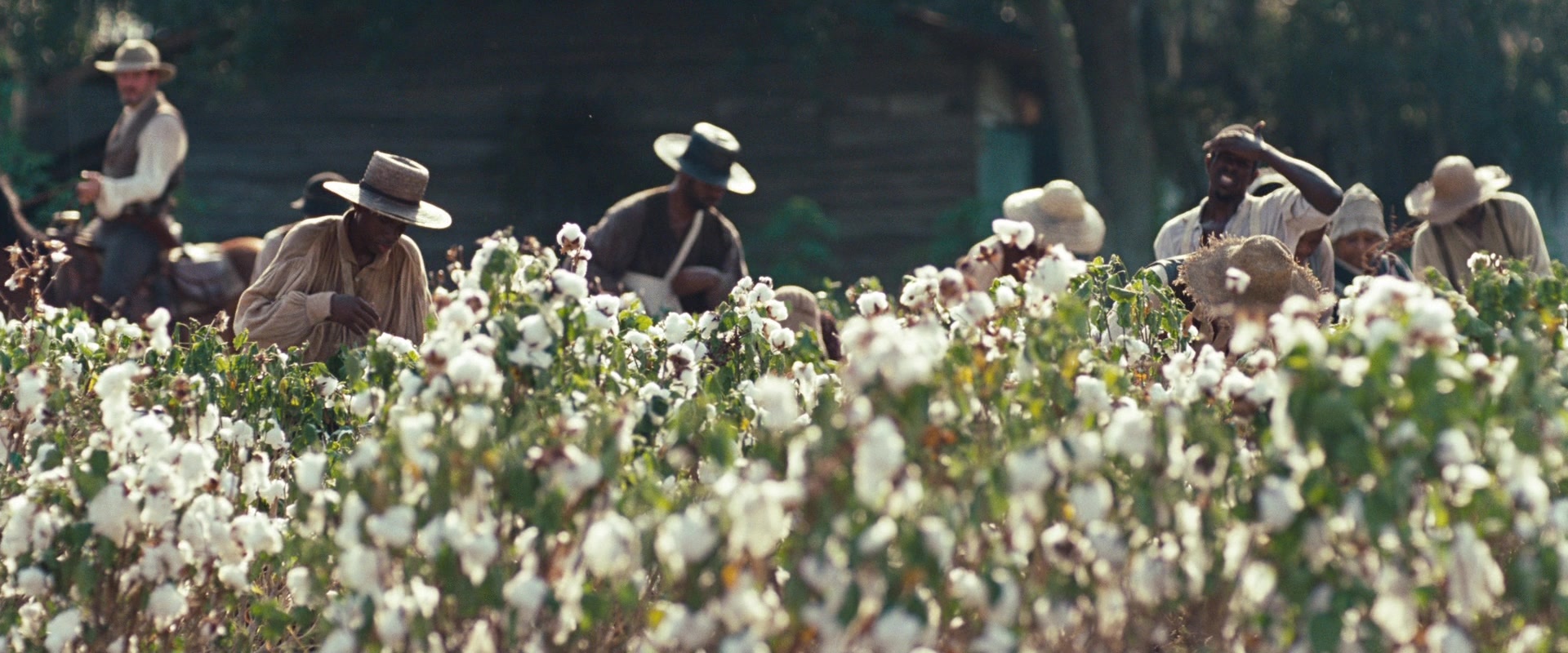 12 Years a Slave (2013), wide, 2.40:1 — film still