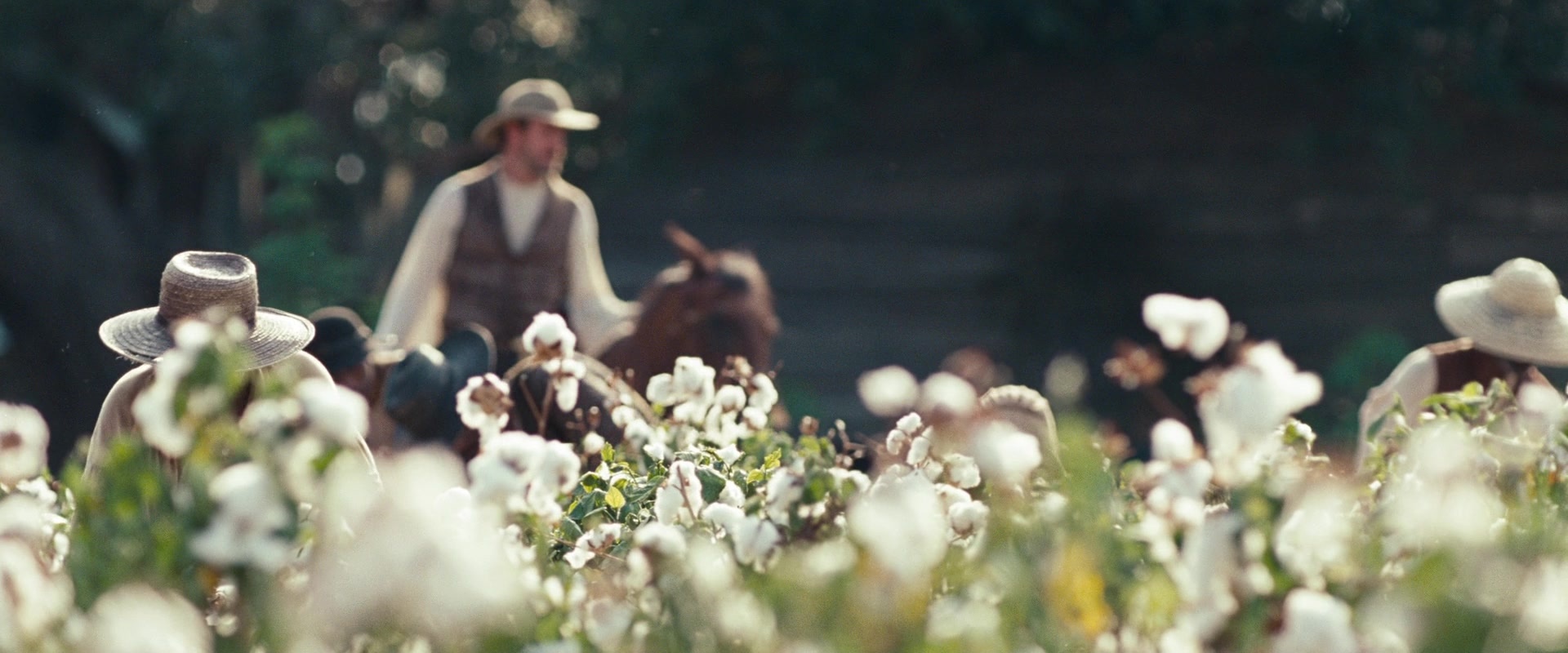 12 Years a Slave (2013), wide, 2.40:1 — film still