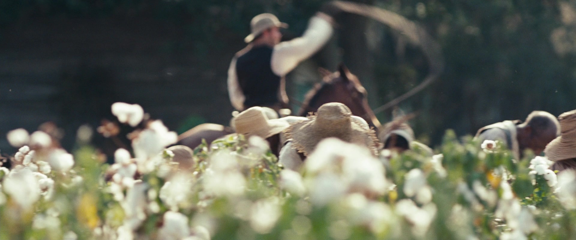 12 Years a Slave (2013), wide, 2.40:1 — film still