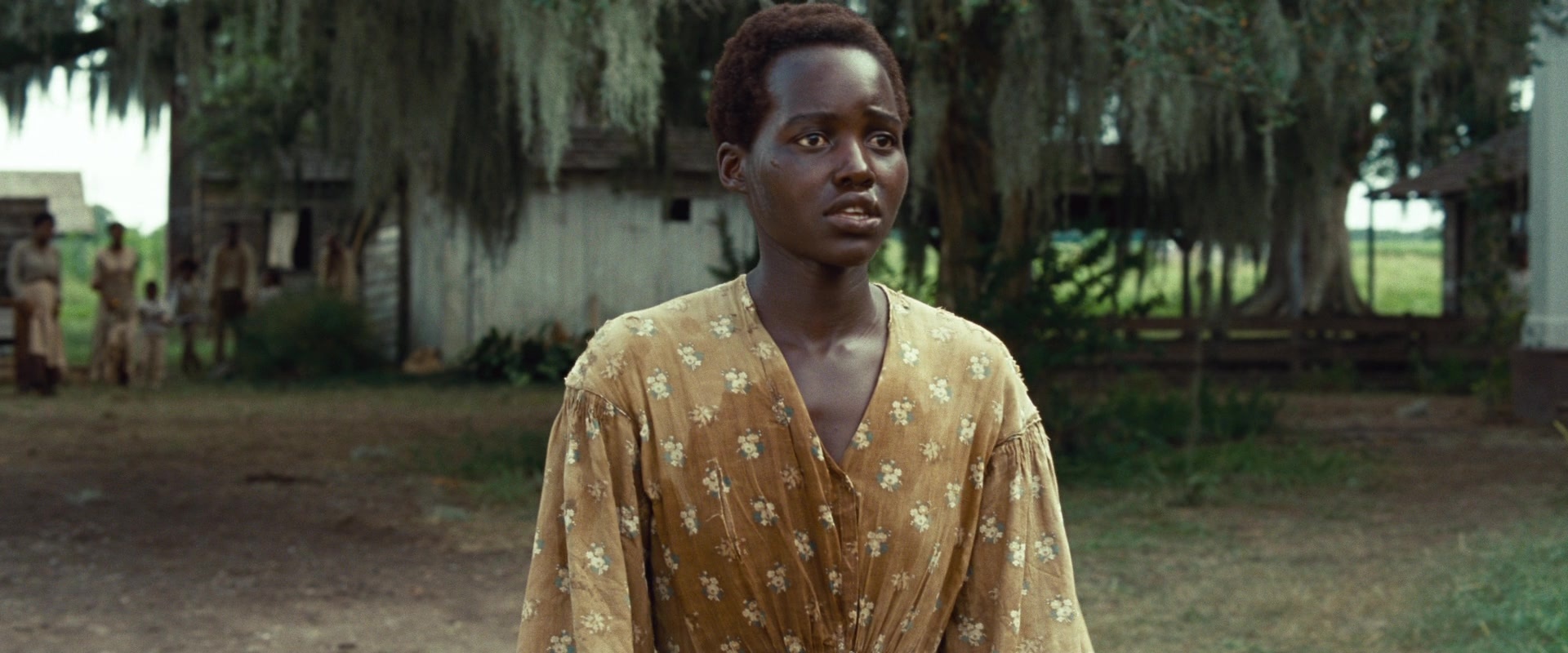 12 Years a Slave (2013), wide, 2.40:1 — film still
