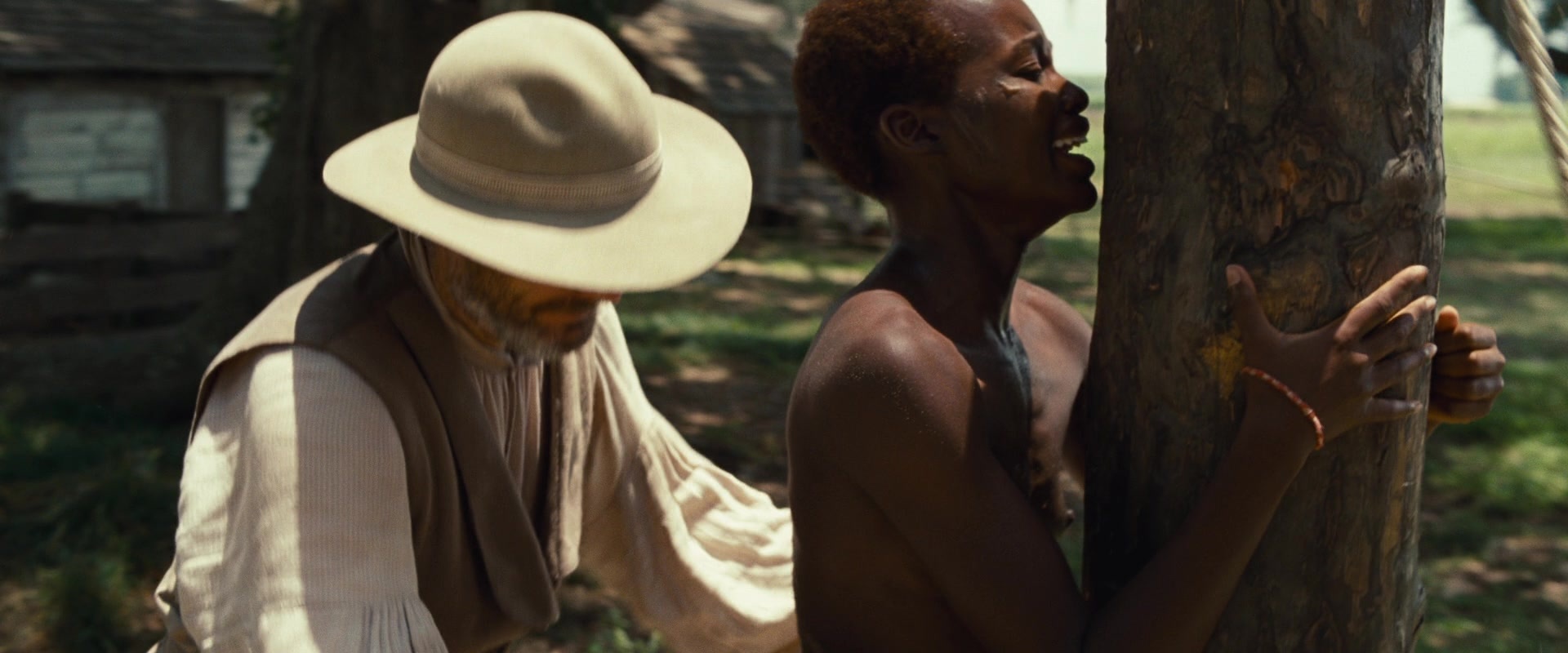 12 Years a Slave (2013), wide, 2.40:1 — film still