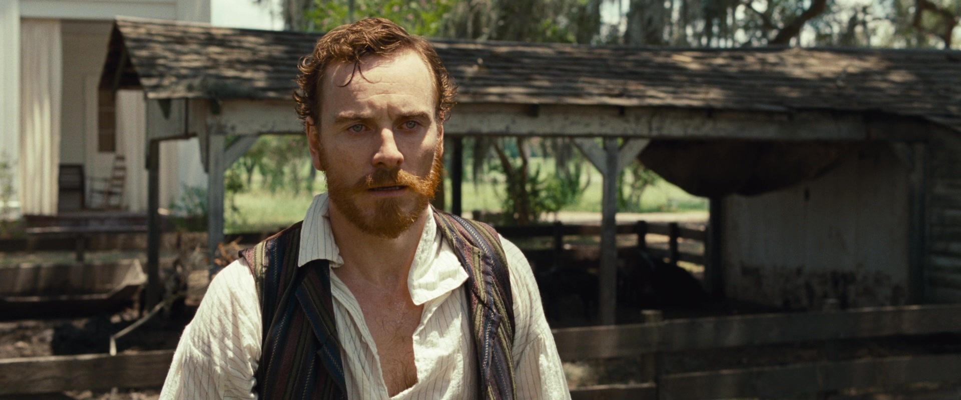 12 Years a Slave (2013), wide, 2.40:1 — film still