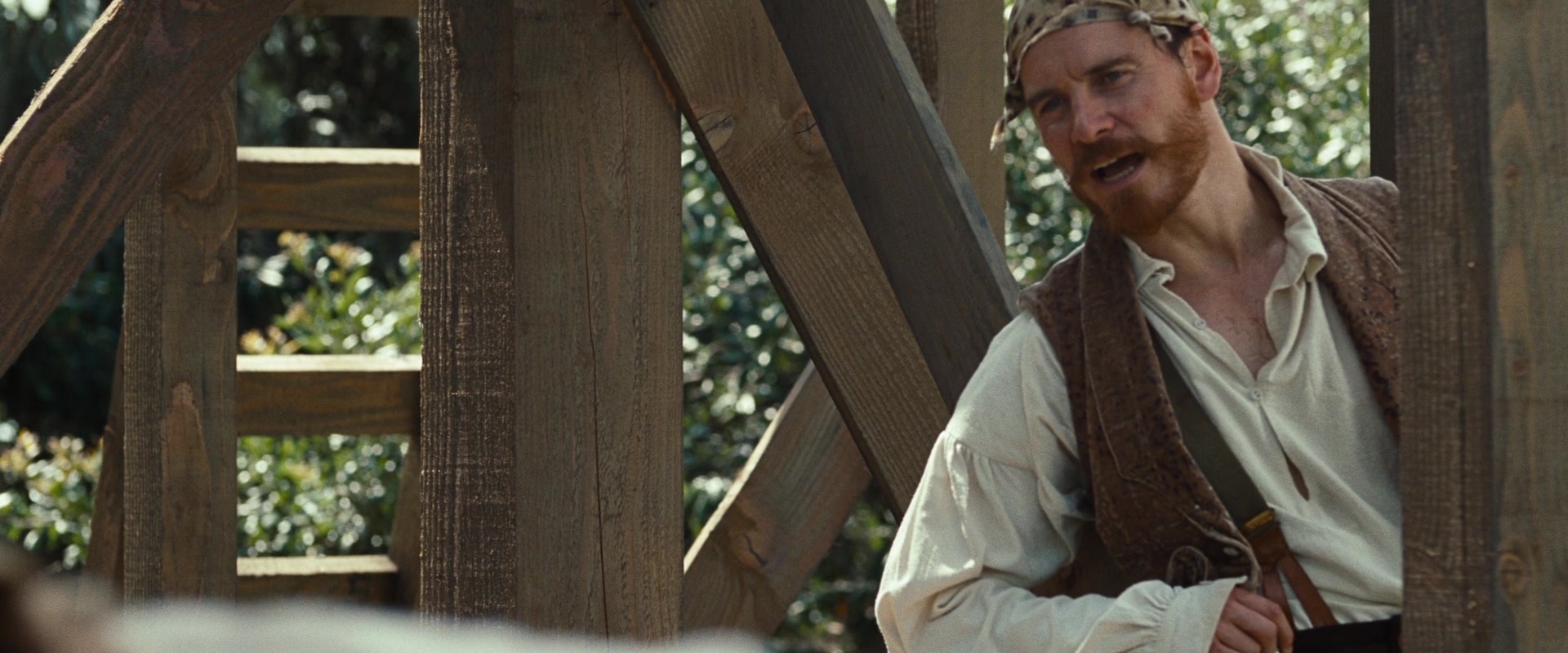 12 Years a Slave (2013), wide, 2.40:1 — film still