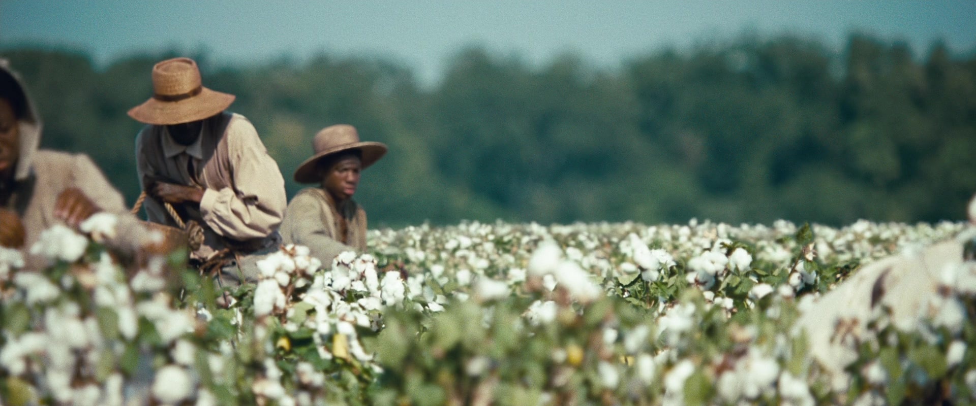 12 Years a Slave (2013), wide, 2.40:1 — film still