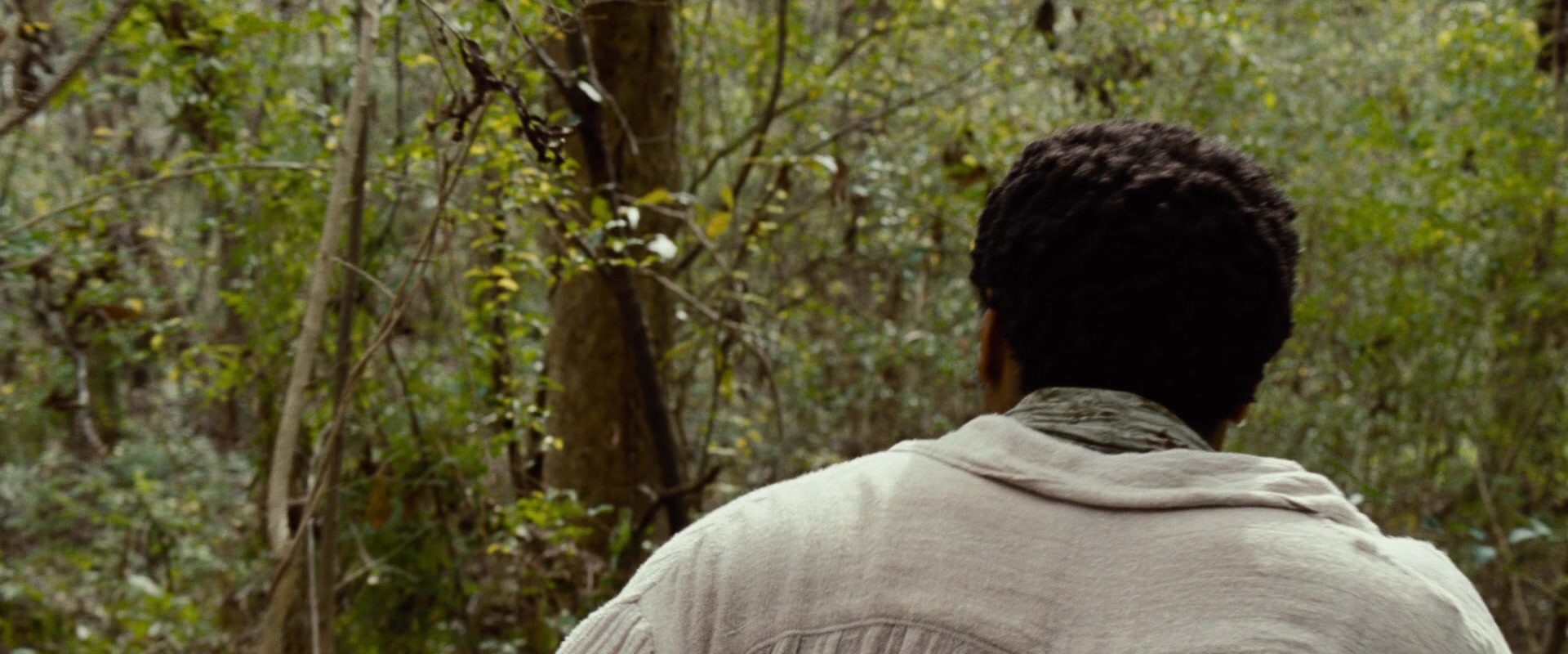 12 Years a Slave (2013), wide, 2.40:1 — film still