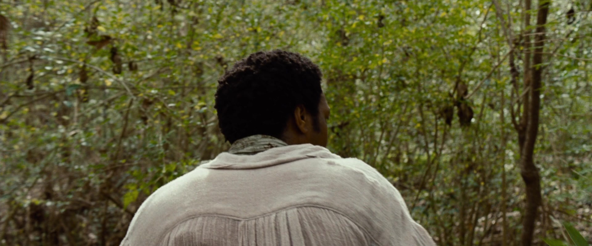 12 Years a Slave (2013), wide, 2.40:1 — film still