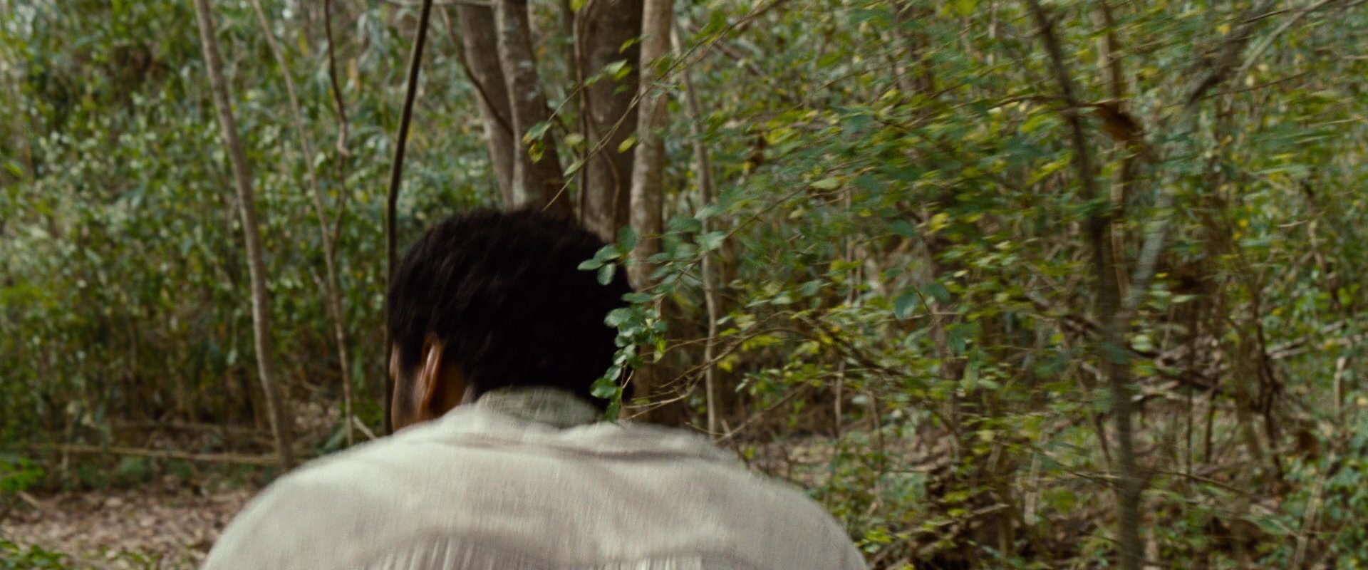 12 Years a Slave (2013), wide, 2.40:1 — film still