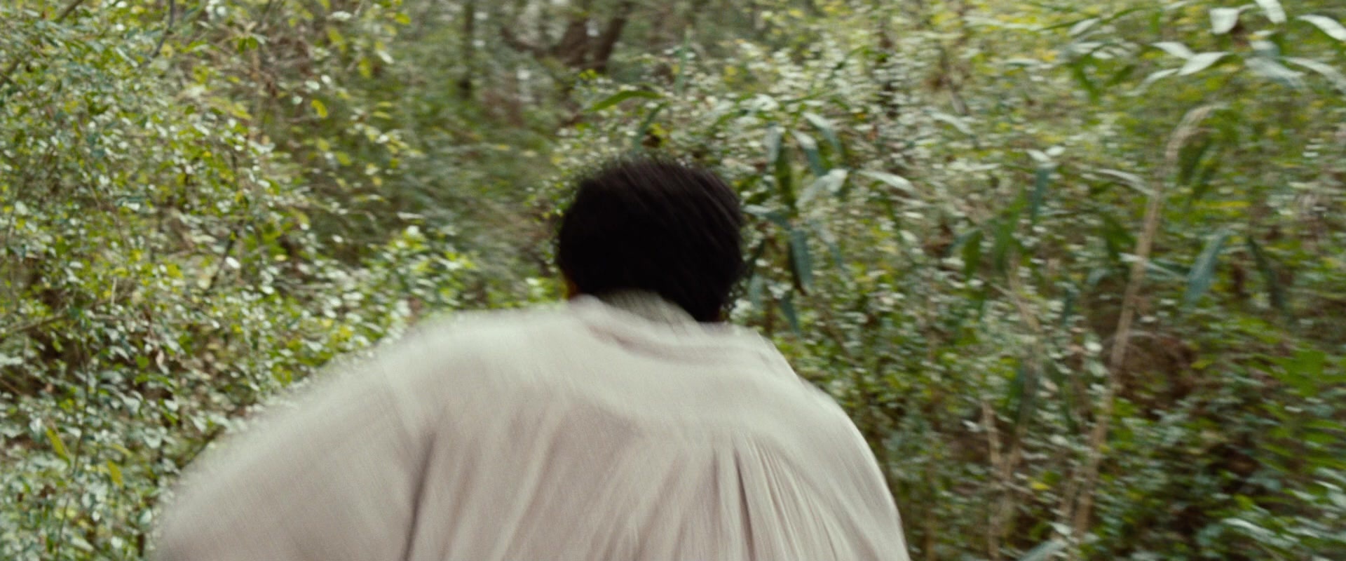 12 Years a Slave (2013), wide, 2.40:1 — film still