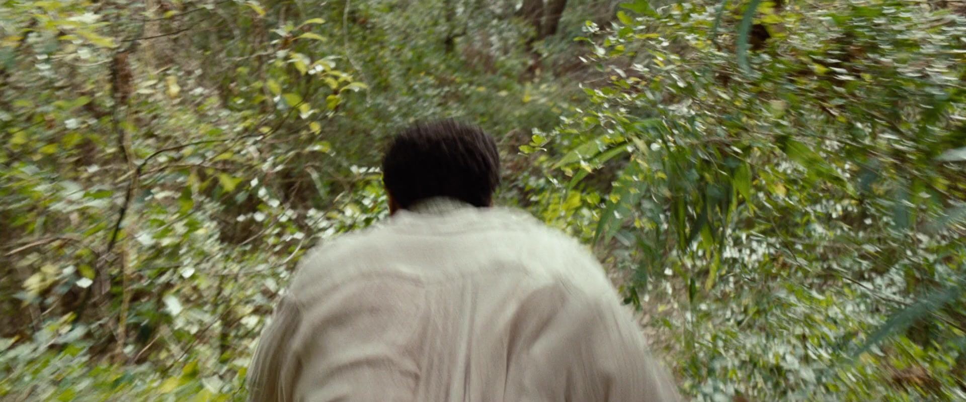 12 Years a Slave (2013), wide, 2.40:1 — film still