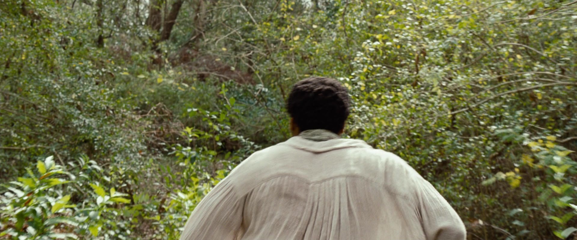 12 Years a Slave (2013), wide, 2.40:1 — film still