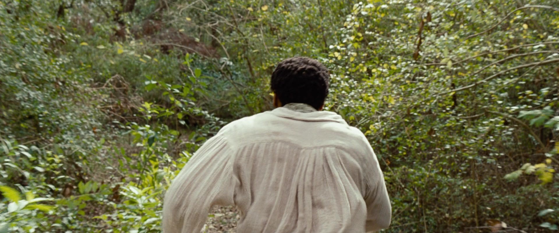 12 Years a Slave (2013), wide, 2.40:1 — film still