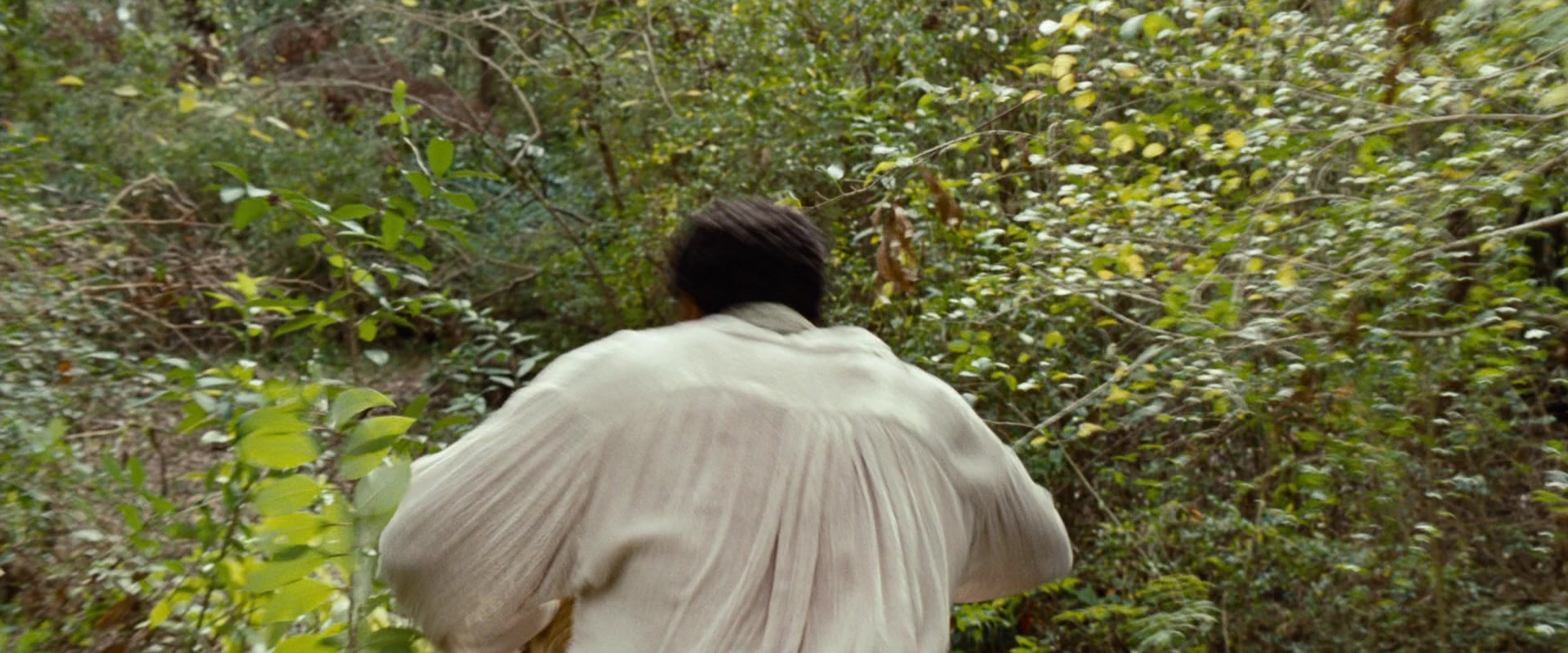 12 Years a Slave (2013), unknown, 2.40:1 — film still