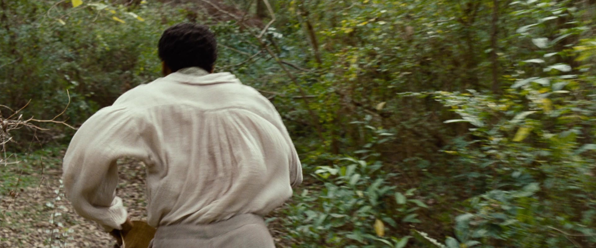 12 Years a Slave (2013), wide, 2.40:1 — film still