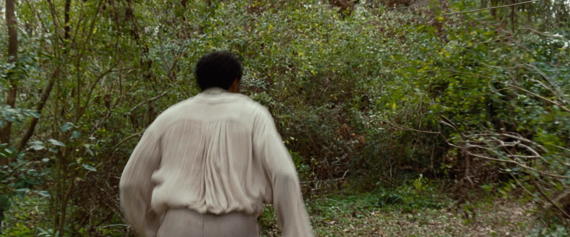 12 Years a Slave (2013), wide, 2.40:1 — film still